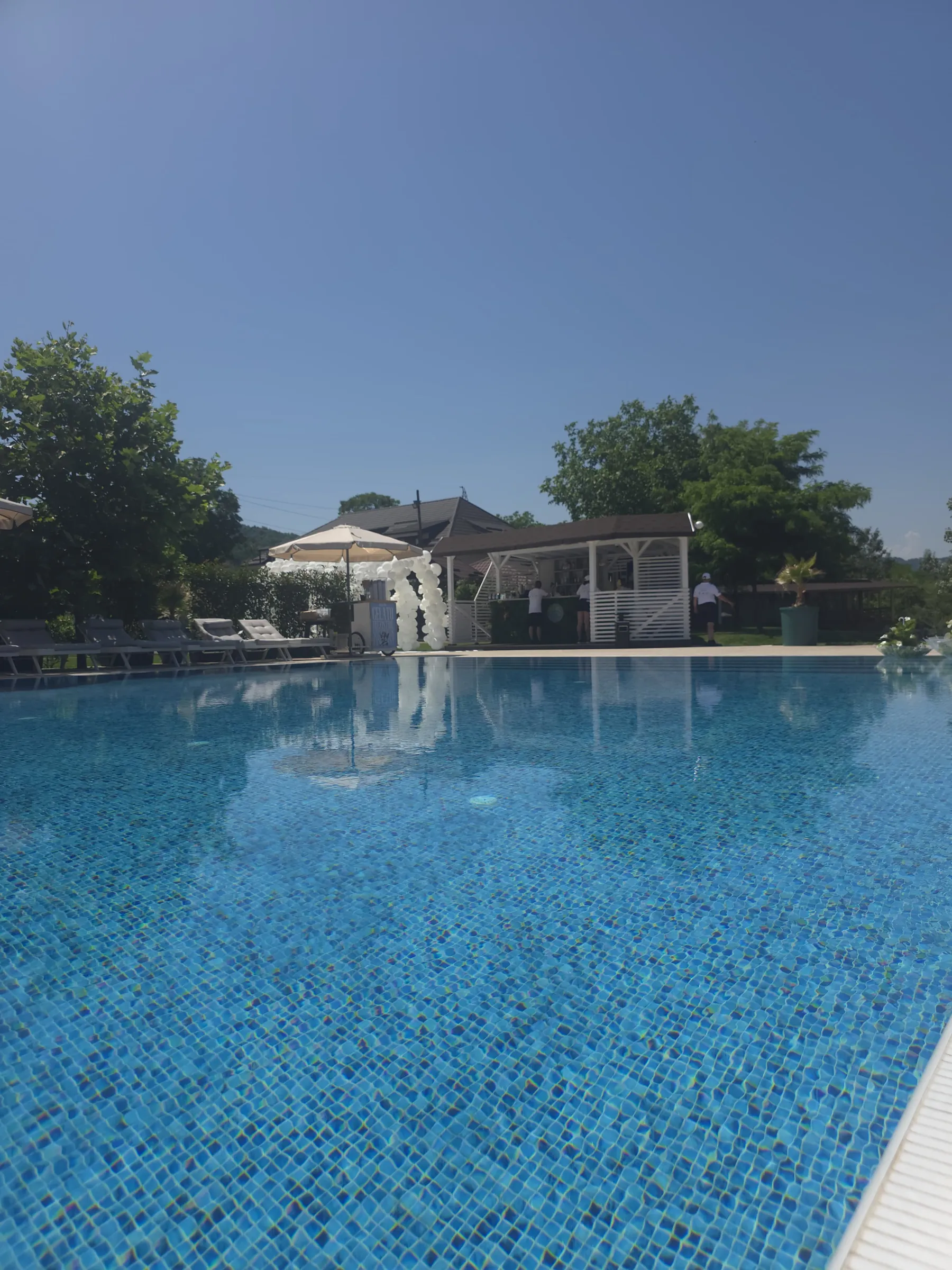 Piscina cu șezlonguri aliniate pe margine, Tema Pool Poiana Verde